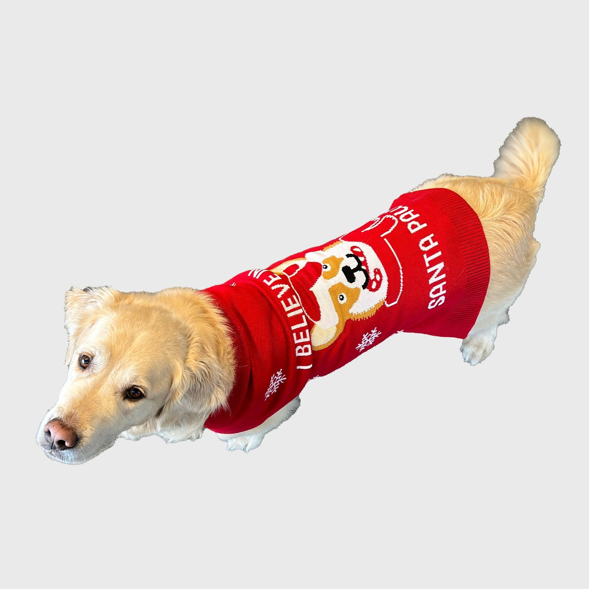 Santa paws Hunde-Weihnachtspullover